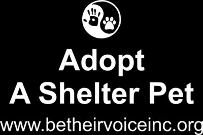adopt back